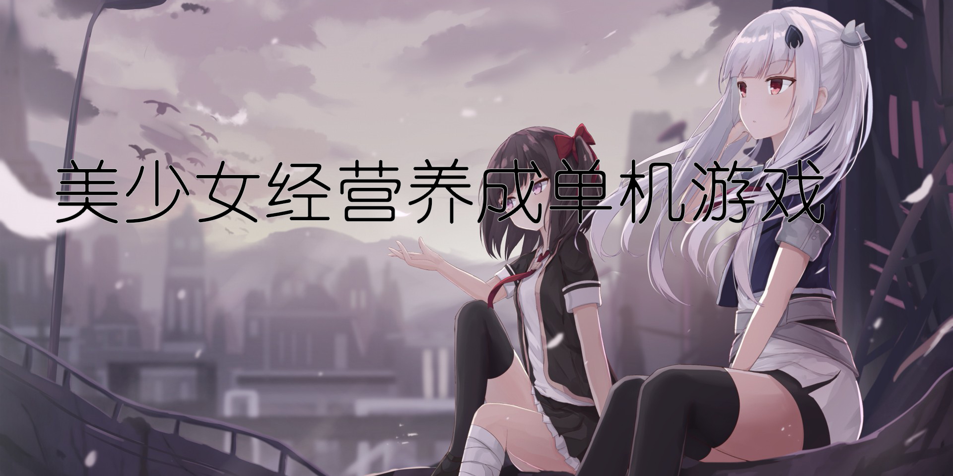 美少女經(jīng)營(yíng)養(yǎng)成單機(jī)游戲