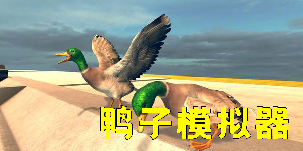 鴨子模擬器