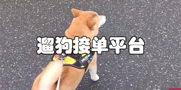 遛狗接單平臺(tái)