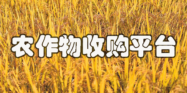 農(nóng)作物收購平臺