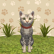 動(dòng)物模擬生存