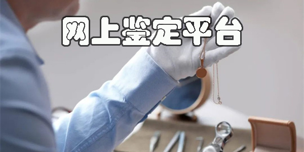 網(wǎng)上鑒定平臺
