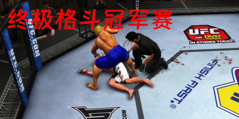 終極格斗冠軍賽