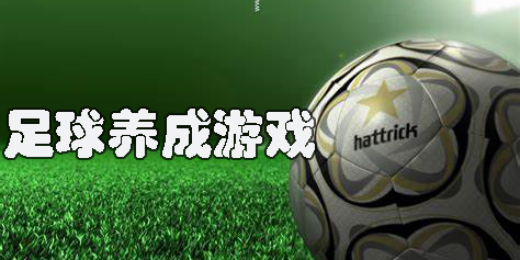 足球養(yǎng)成游戲
