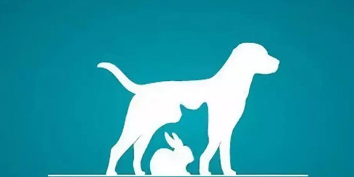 買寵物平臺(tái)有哪些？買寵物app推薦-買寵物軟件合集