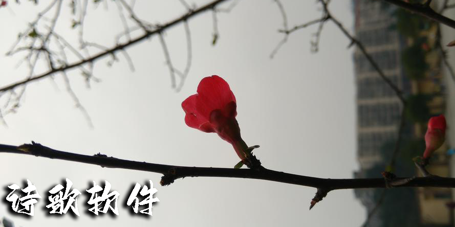 詩歌軟件有哪些-詩歌app大全-詩歌軟件推薦