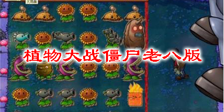 植物大戰(zhàn)僵尸老八版