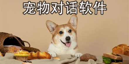 寵物對話軟件