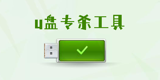 u盤(pán)專(zhuān)殺工具