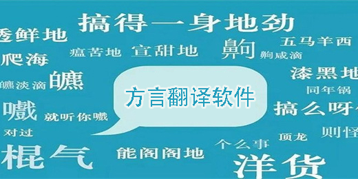 地方方言翻譯軟件app下載-地方方言翻譯軟件大全