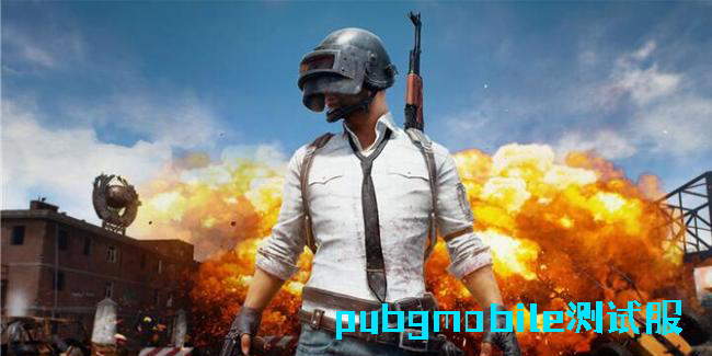pubgmobile測試服手游下載官方-pubgmobile國際測試服版本大全