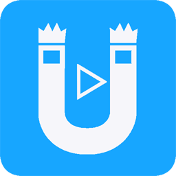 磁力鏈接播放器手機版