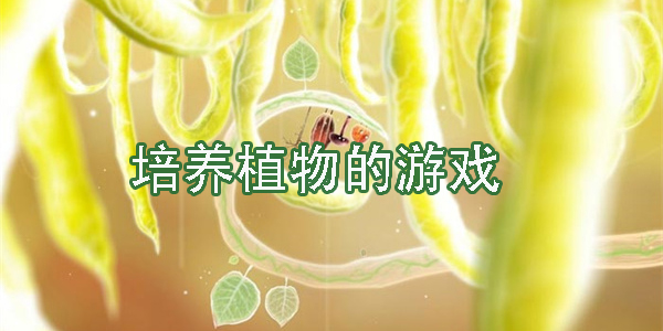 培養(yǎng)植物的游戲