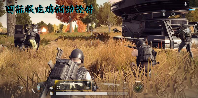 國際服吃雞輔助軟件