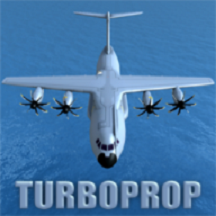 真實的飛行模擬器