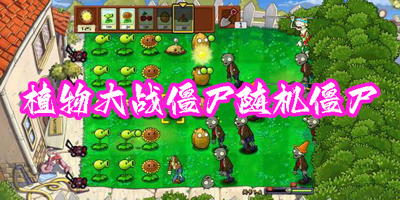 植物大戰(zhàn)僵尸隨機僵尸