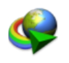 Internet Download Manager(下載工具)