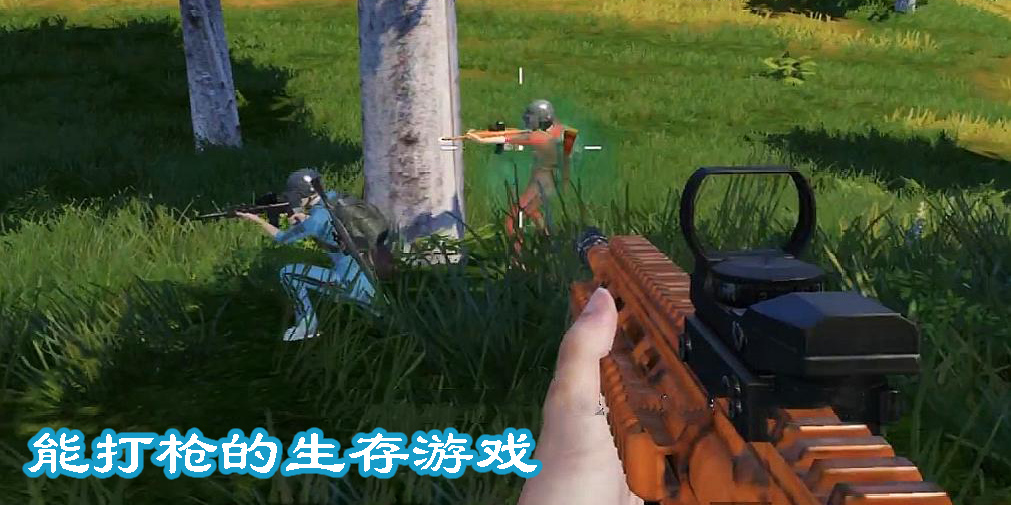 能打槍的生存游戲