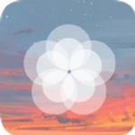 楓知手機主題壁紙