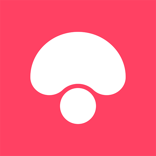 蘑菇街女裝最新款