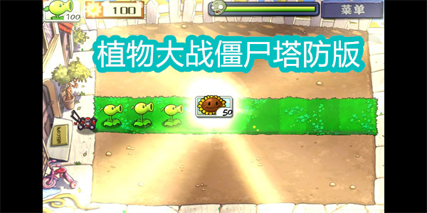 植物大戰(zhàn)僵尸塔防版