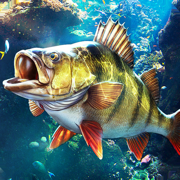 歡樂(lè)釣魚(yú)大師蘋(píng)果版