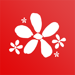 路燈花幼師辦公教育平臺(tái)