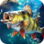 杰瑞米瓦德釣魚大師