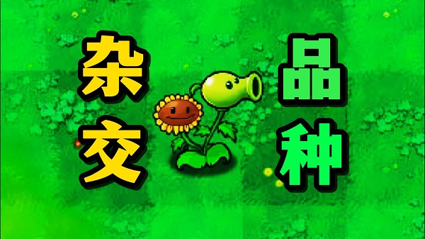 pvz雜交版下載大全-pvz雜交版合集