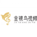 金银鸟影视