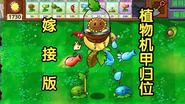 植物大戰(zhàn)僵尸嫁接版