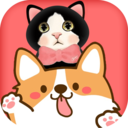 旺旺喵喵宠物翻译器