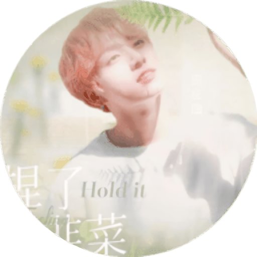 拿捏了小韭菜bts橙光