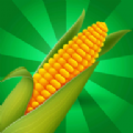 玉米清理