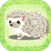 治愈的刺猬育成