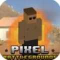 像素战场失落沙漠之战