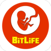 Bit Life