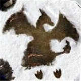 訓(xùn)練師之決戰(zhàn)