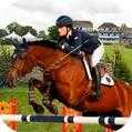 赛马模拟器