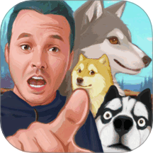 玩狗园区Dog park