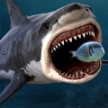 鯊魚之王