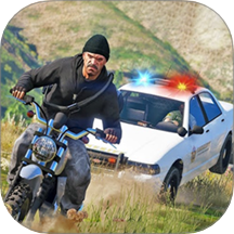 警車(chē)追捕傳奇