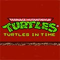 忍者神龜2時空武士
