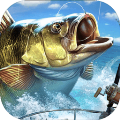 钓鱼大亨最新版