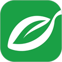 汕頭橄欖臺直播