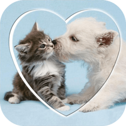 速跳貓狗交流器