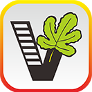 我要自學網(wǎng)app