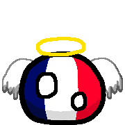 波蘭球桌寵法國