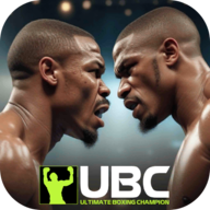 終極拳擊冠軍游戲