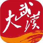 大武漢app